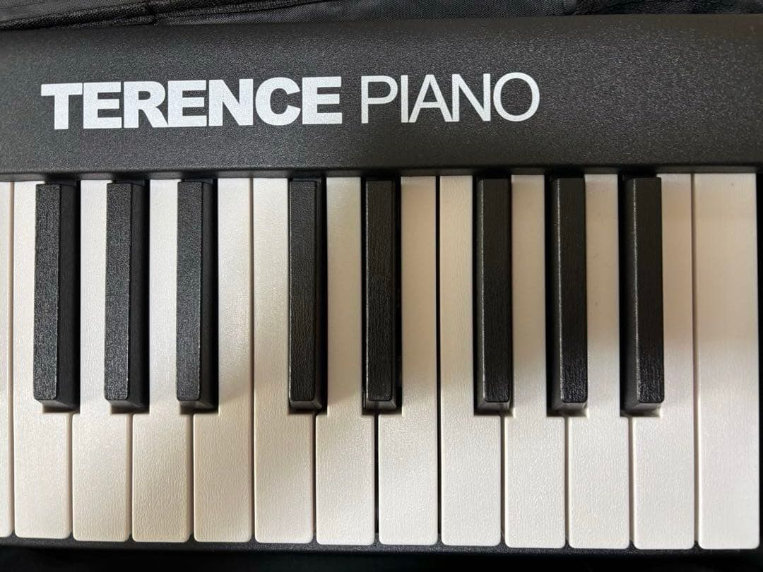 88鍵盤 電子ピアノ　折り畳み式　ペダル付き　軽量　TERENCE