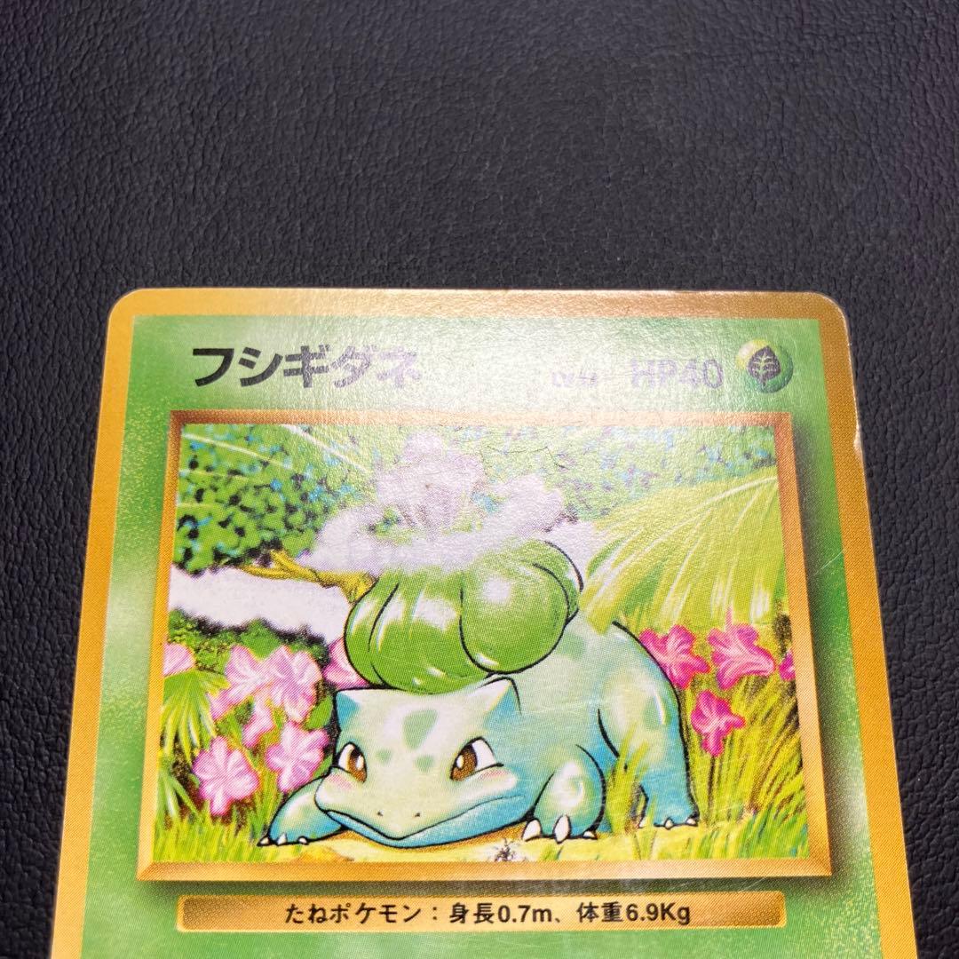 【初版】　フシギダネ　旧裏　ポケモンカード　マークなし