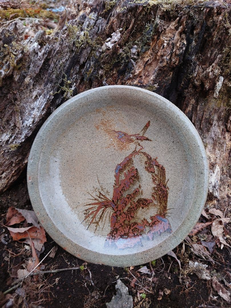 【稀少 廃窯】お茶の水窯 四代目 捷延 作 絵唐津 皿 21.5cm 未使用完品