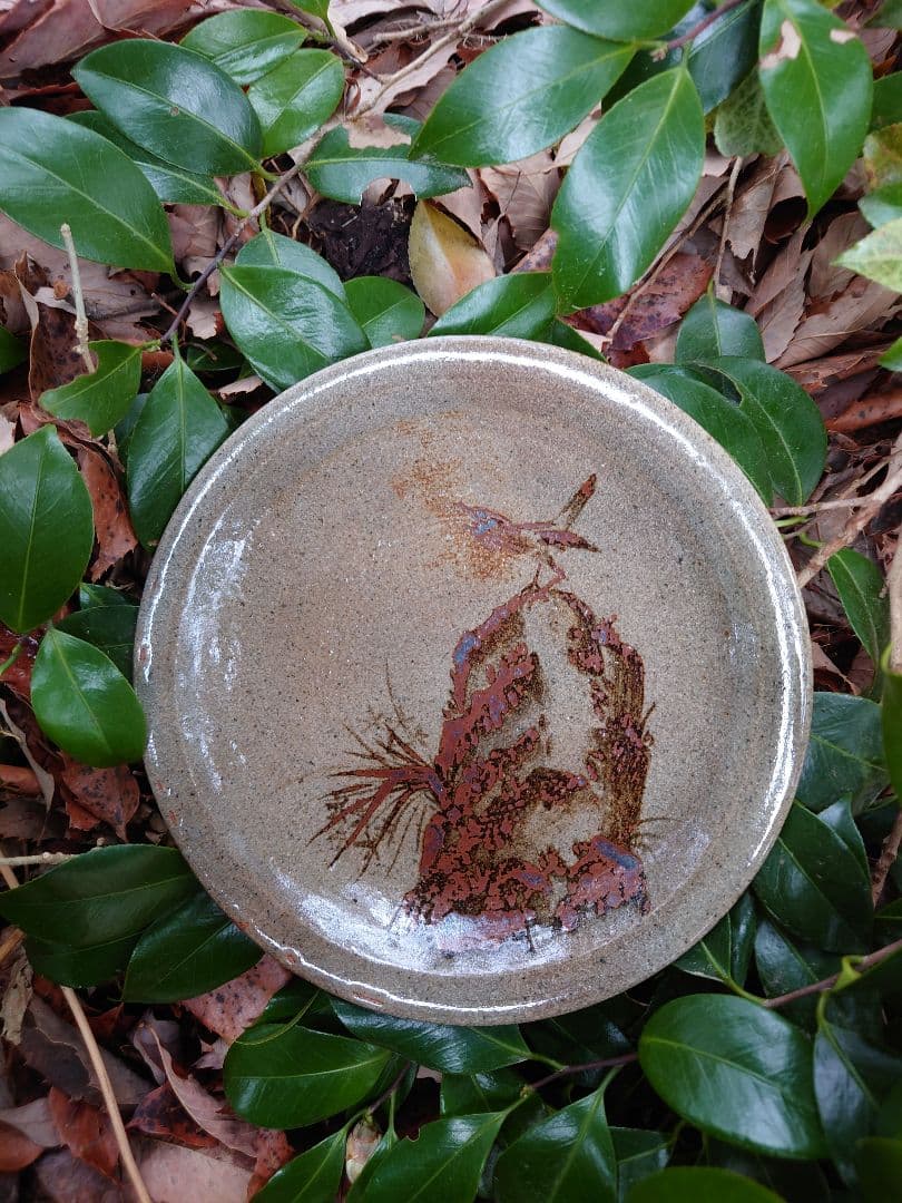 【稀少 廃窯】お茶の水窯 四代目 捷延 作 絵唐津 皿 21.5cm 未使用完品
