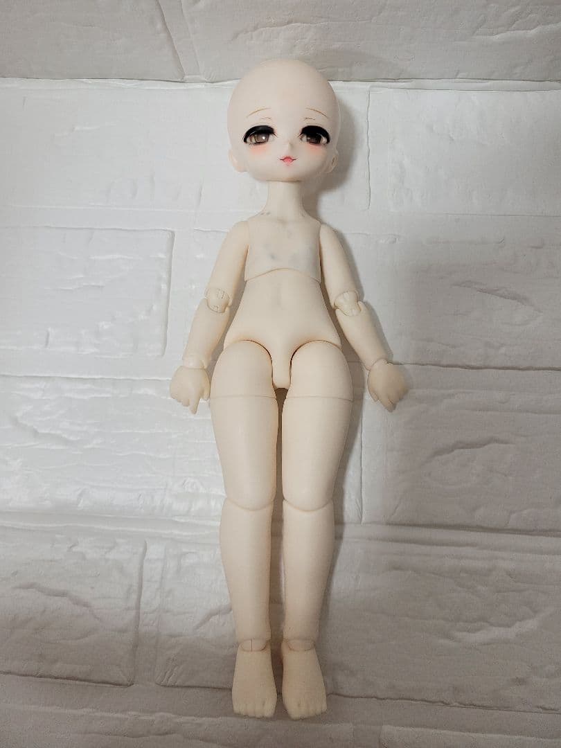 TinyFox リトルリズ 1/6サイズ