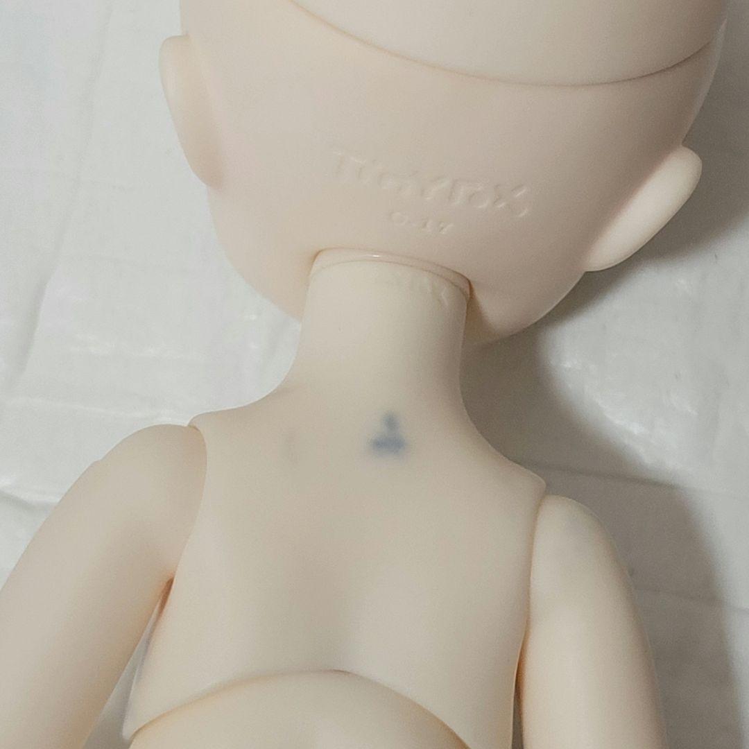 TinyFox リトルリズ 1/6サイズ