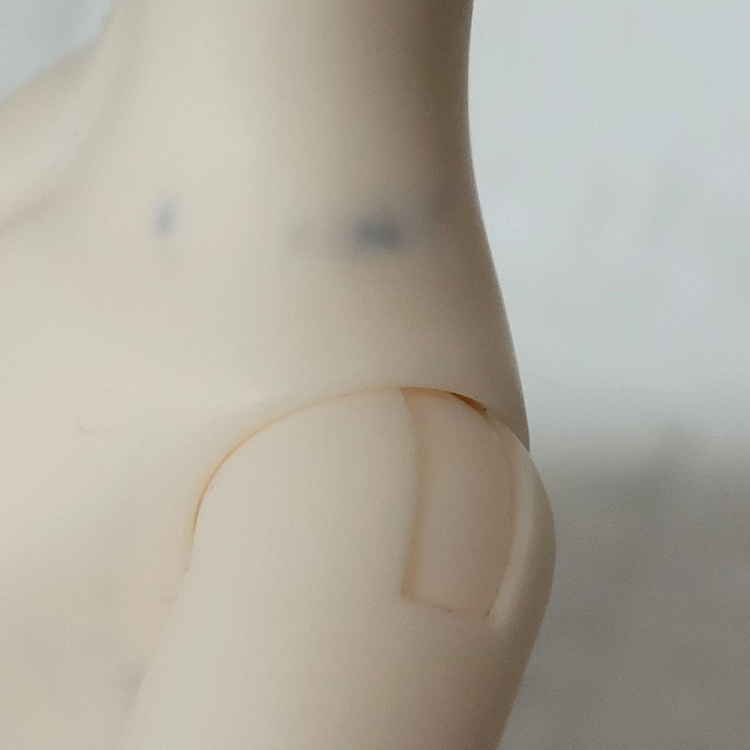 TinyFox リトルリズ 1/6サイズ