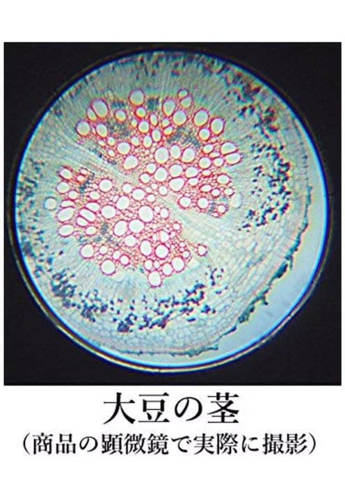 祝ご入学ギフト