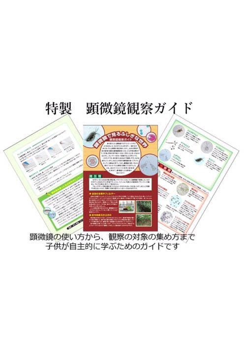 祝ご入学ギフト