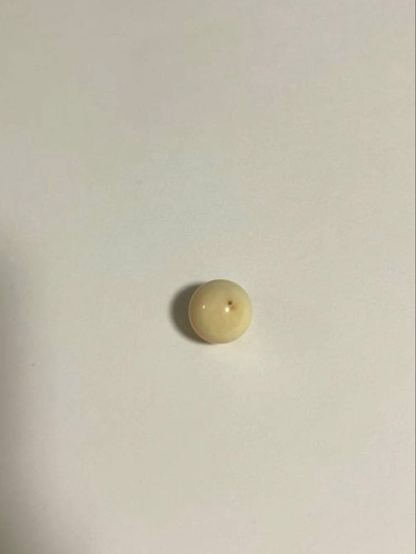 鯨歯