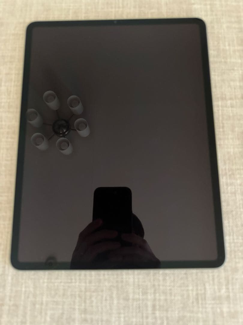 iPad Pro M1 12.9インチ 256G+ Apple Pencil