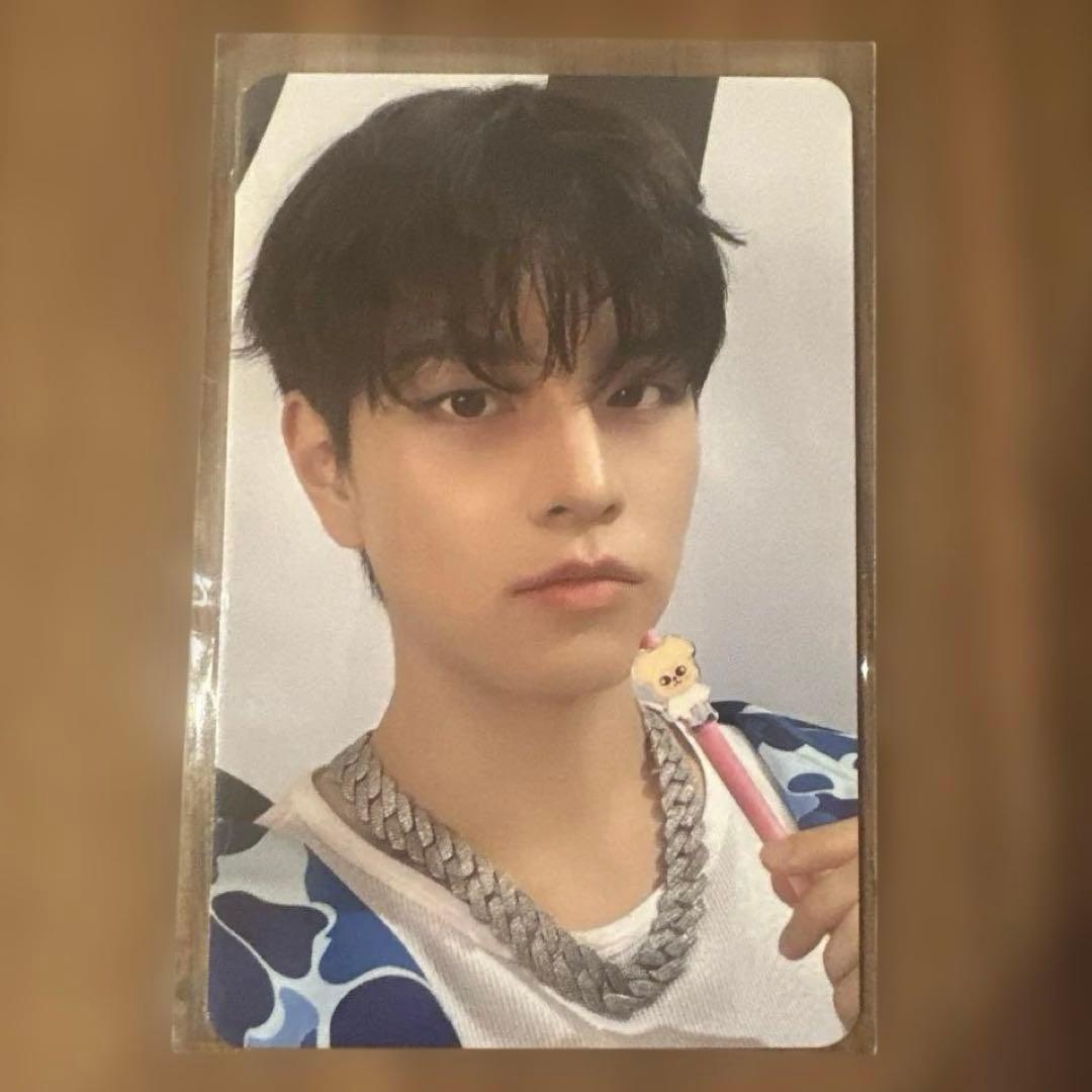 straykids スキズ スンミンPuppyM パピーム メンプロ ぬいぐるみ