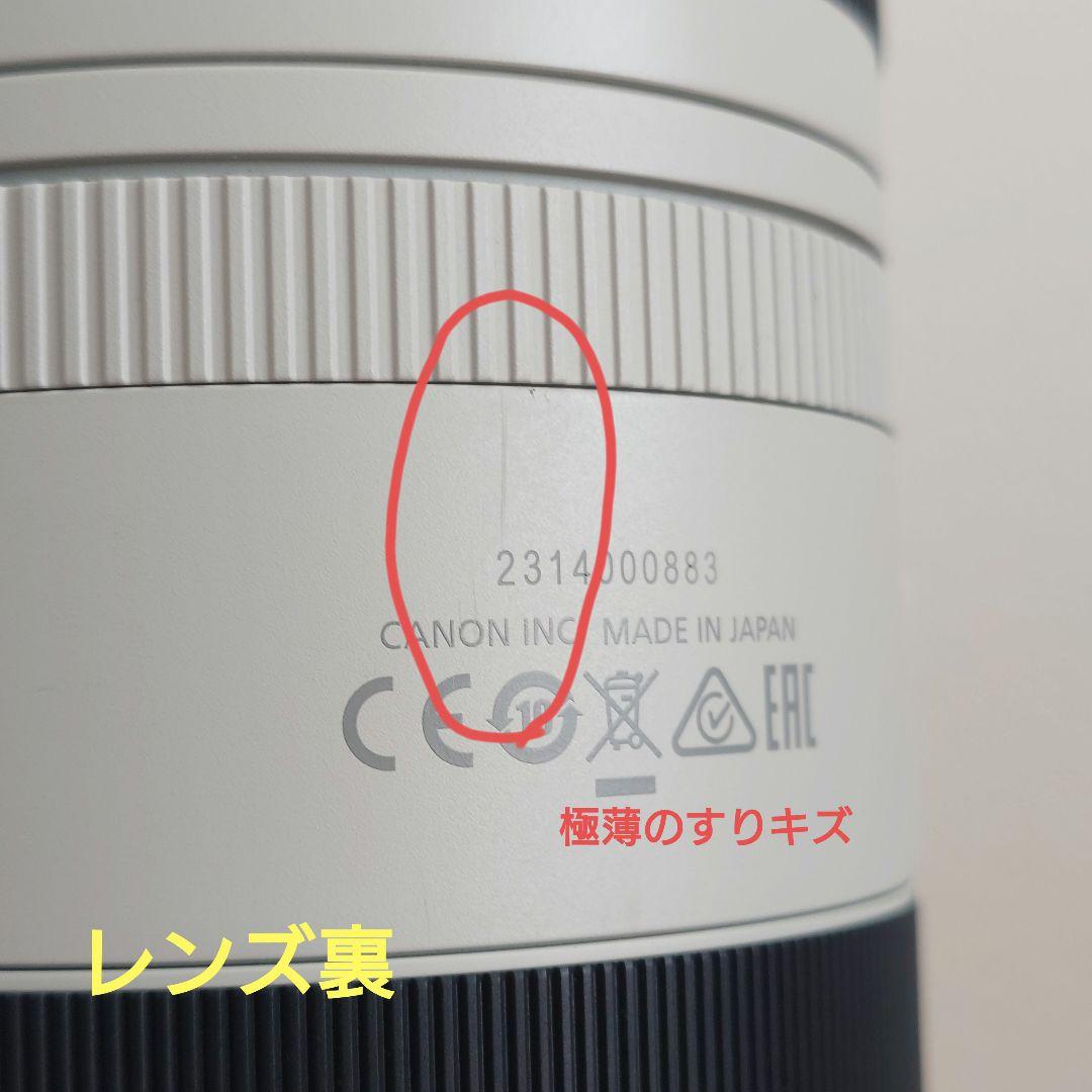 動作良好☆Canon キヤノン RF100-500mm F4.5-7.1L