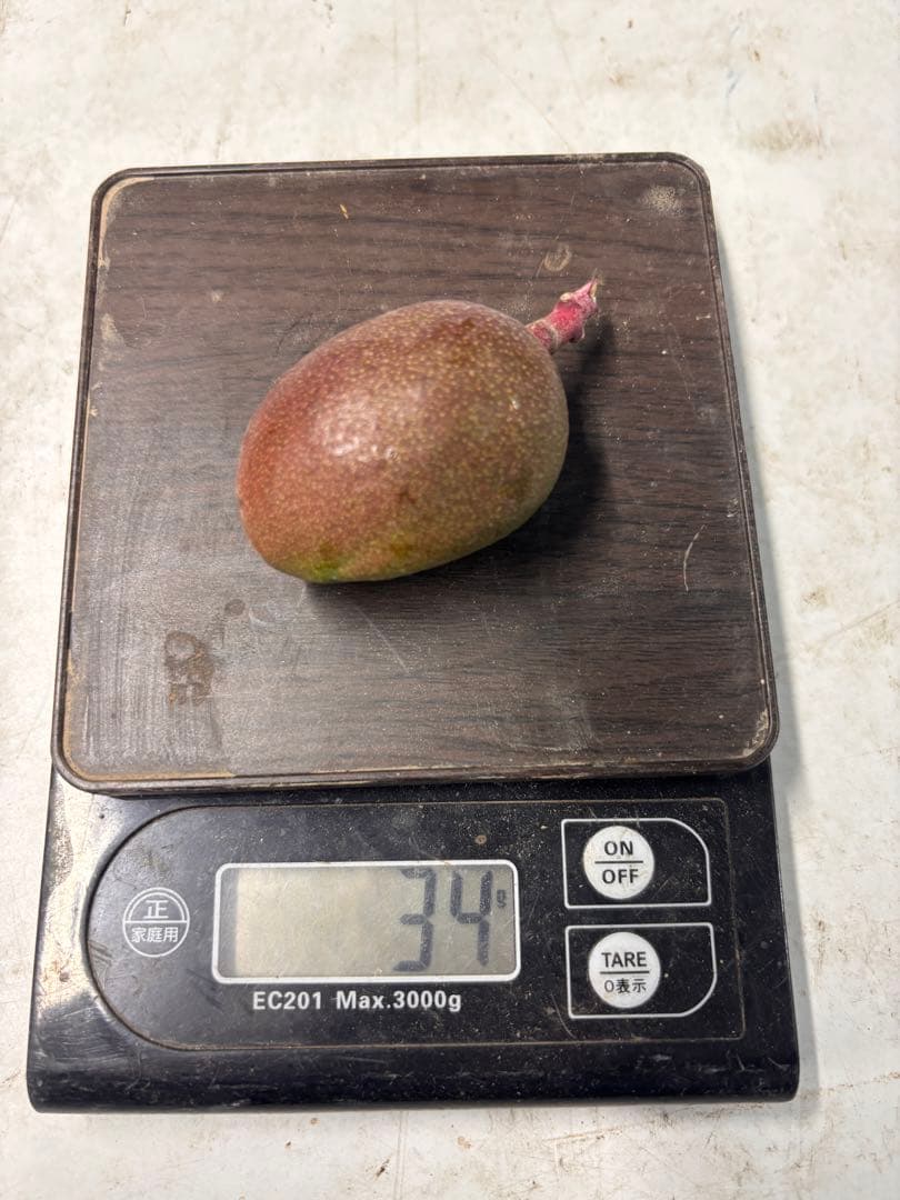 摘果マンゴー　5.1kg
