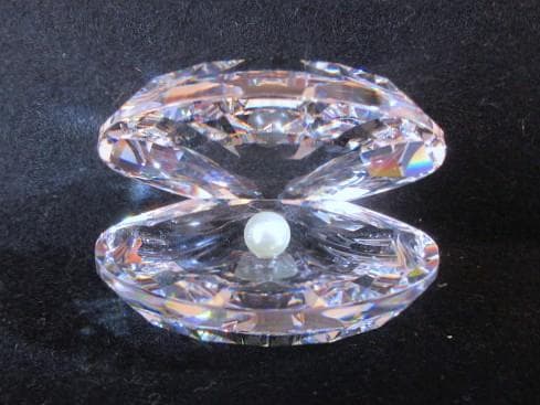yoka_buyさん専用 SWAROVSKI 貝と真珠(L)　チーター