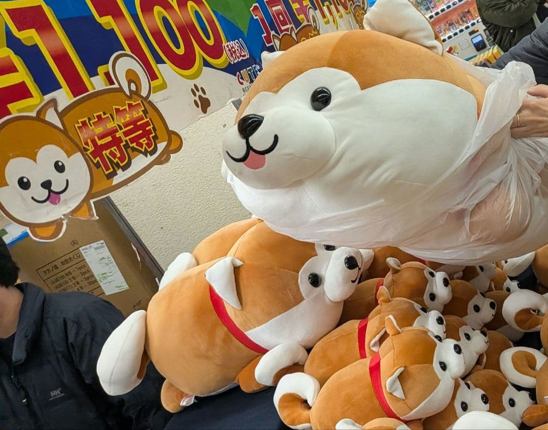 ハッピー 豆柴 秋田犬 くじ 特賞　特等　特大ぬいぐるみ　新品 柴犬 猫 4等