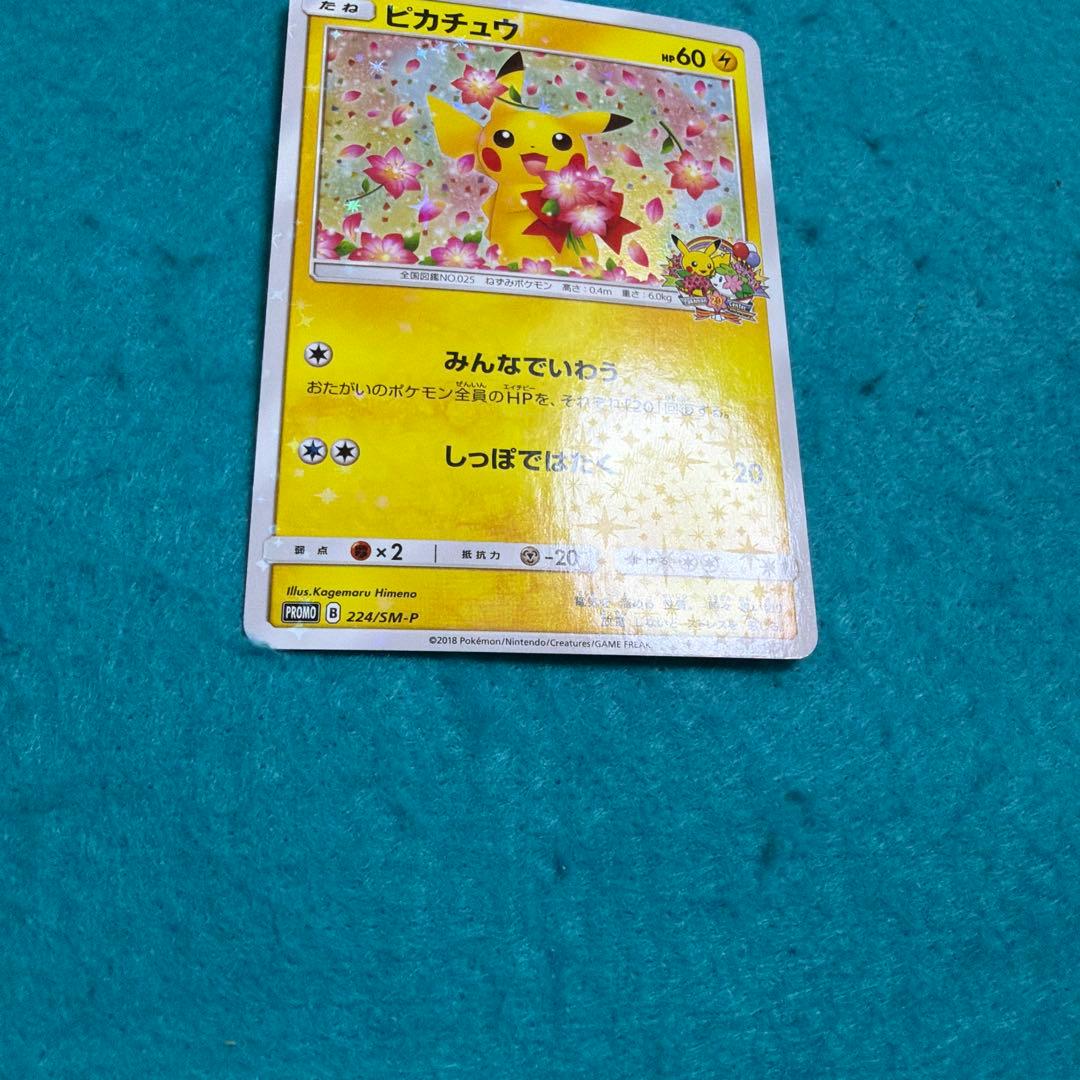 ピカチュウ みんなでいわう 224/sm-p