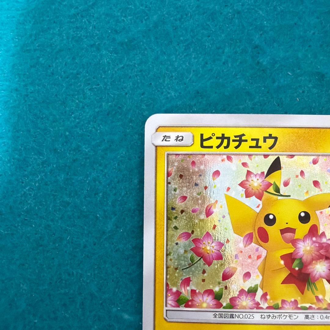 ピカチュウ みんなでいわう 224/sm-p
