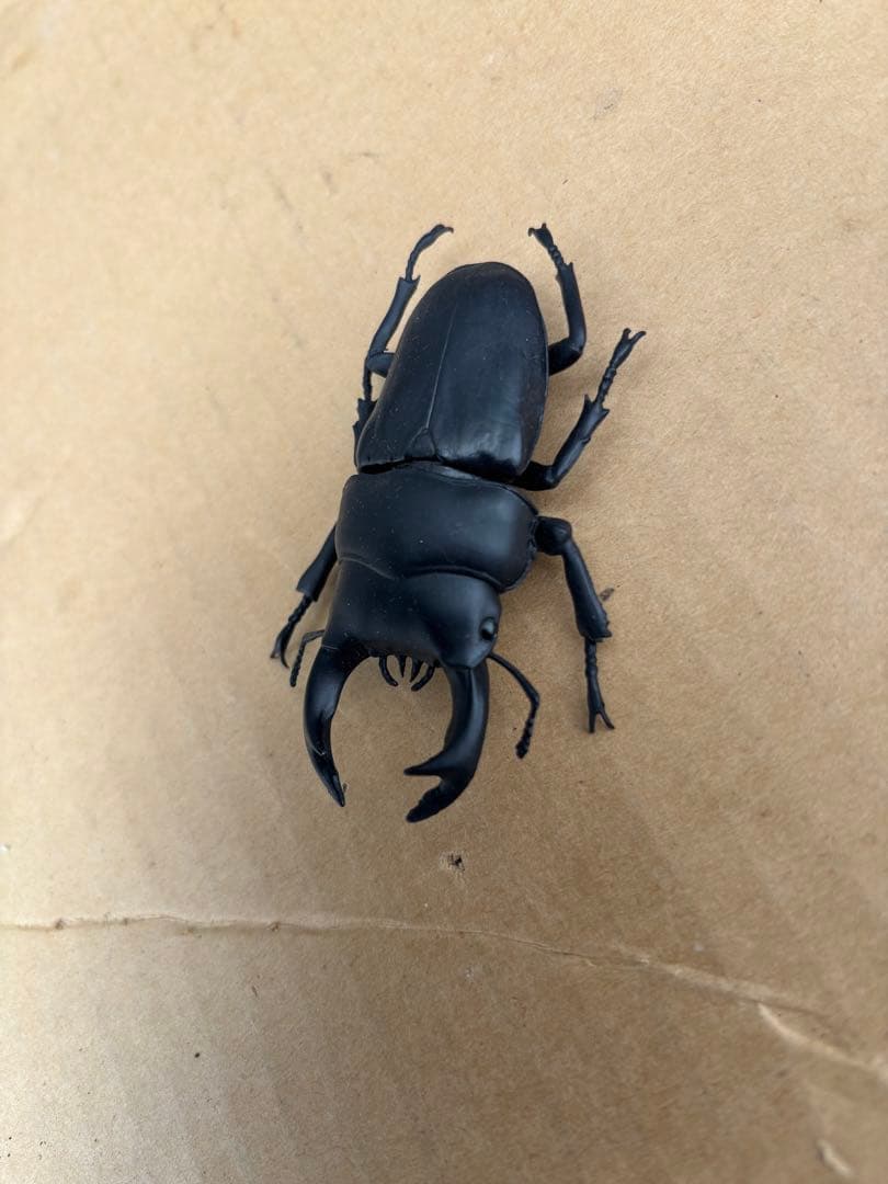 昆虫フィギュアセット 全　9種
