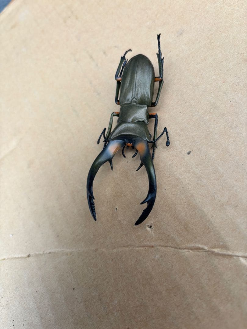 昆虫フィギュアセット 全　9種