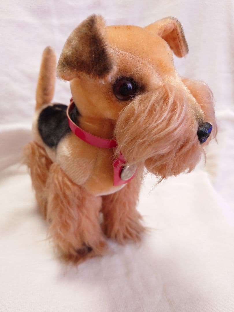 【希少品！】ふしぎ犬トントン★エアデールテリアぬいぐるみ