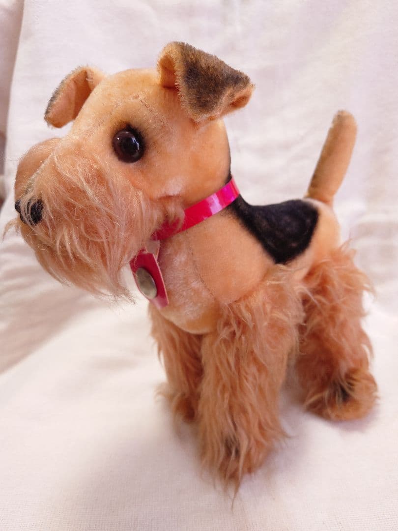 【希少品！】ふしぎ犬トントン★エアデールテリアぬいぐるみ