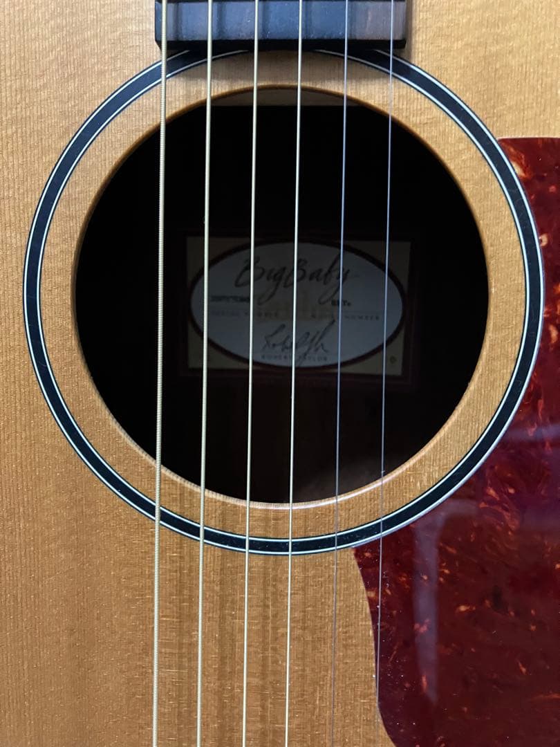 Taylor ビッグベイビー　エレアコ