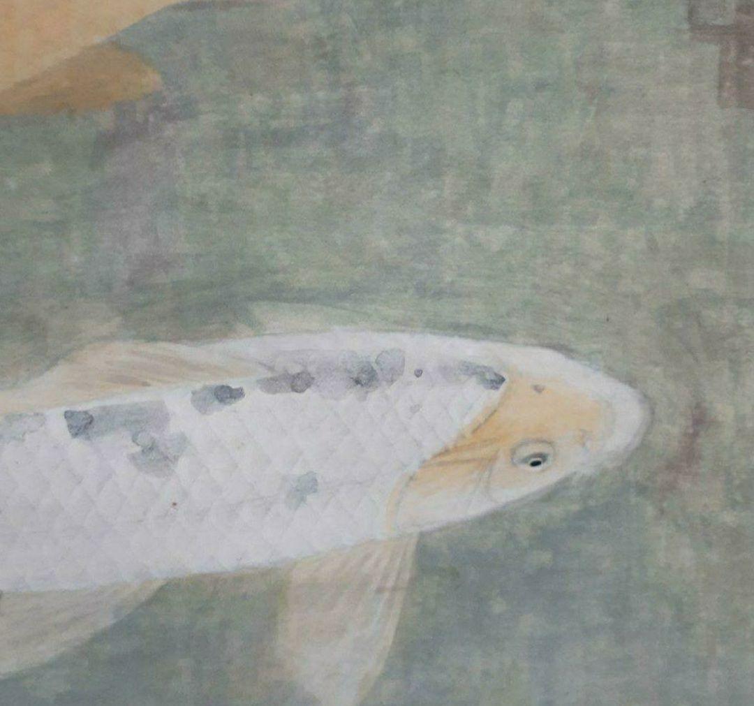 掛け軸/双鯉