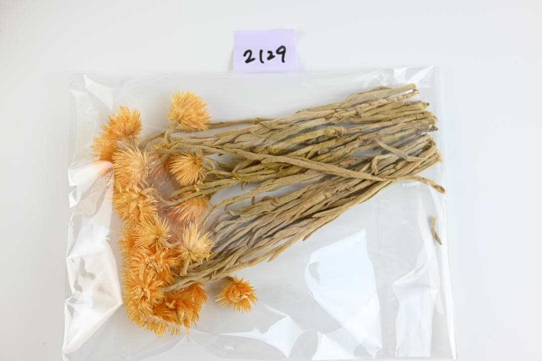 ミニー　アウトレット花材8点