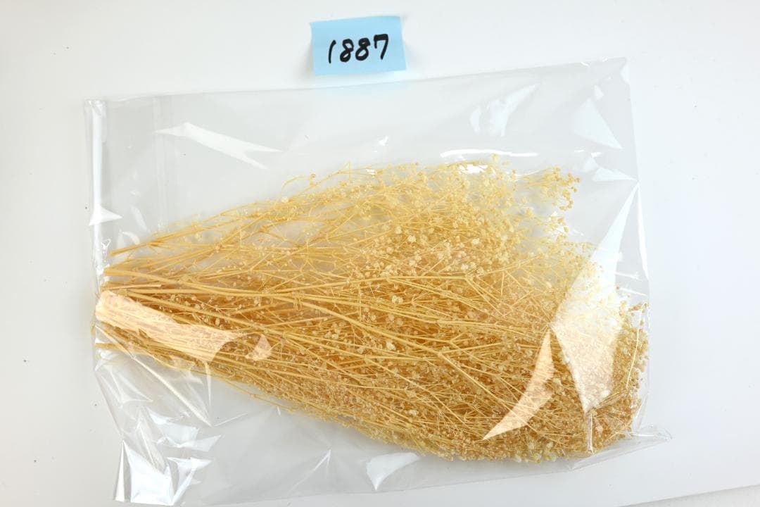 ミニー　アウトレット花材8点