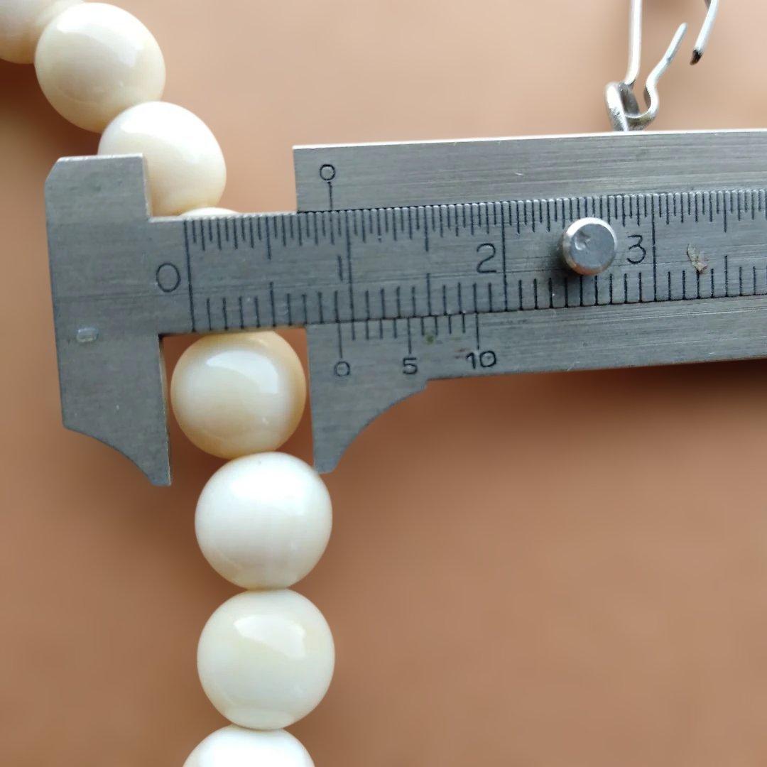鯨歯　マッコウ鯨　牙玉ブレスレット　25㎝