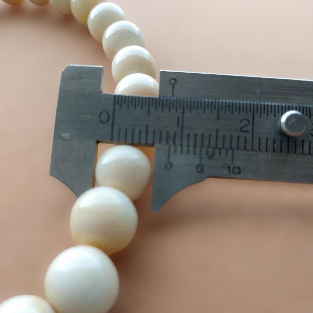鯨歯　マッコウ鯨　牙玉ブレスレット　25㎝