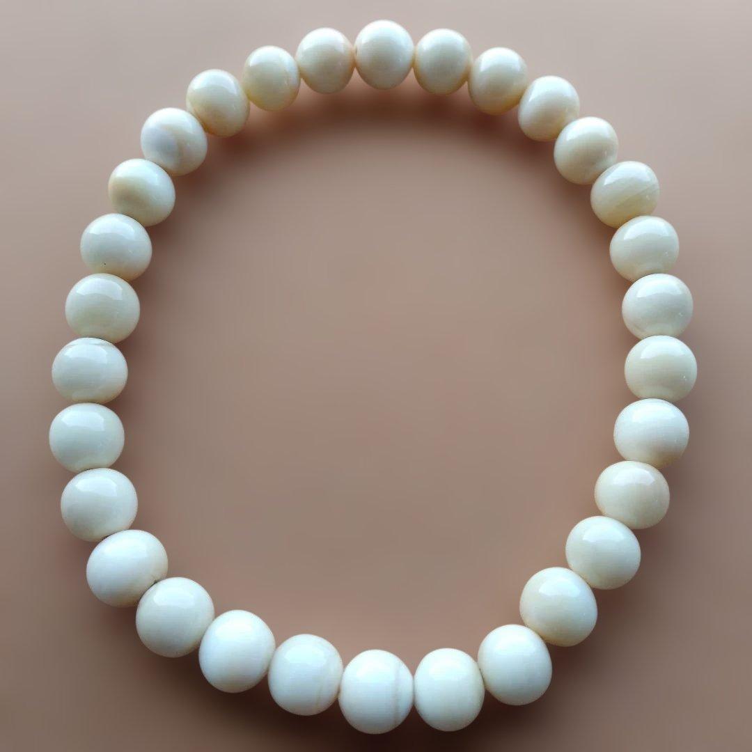 鯨歯　マッコウ鯨　牙玉ブレスレット　25㎝