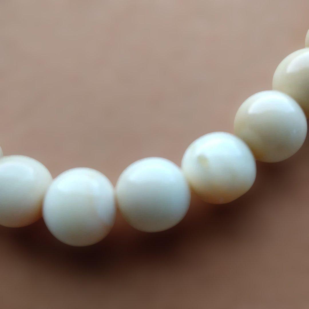 鯨歯　マッコウ鯨　牙玉ブレスレット　25㎝