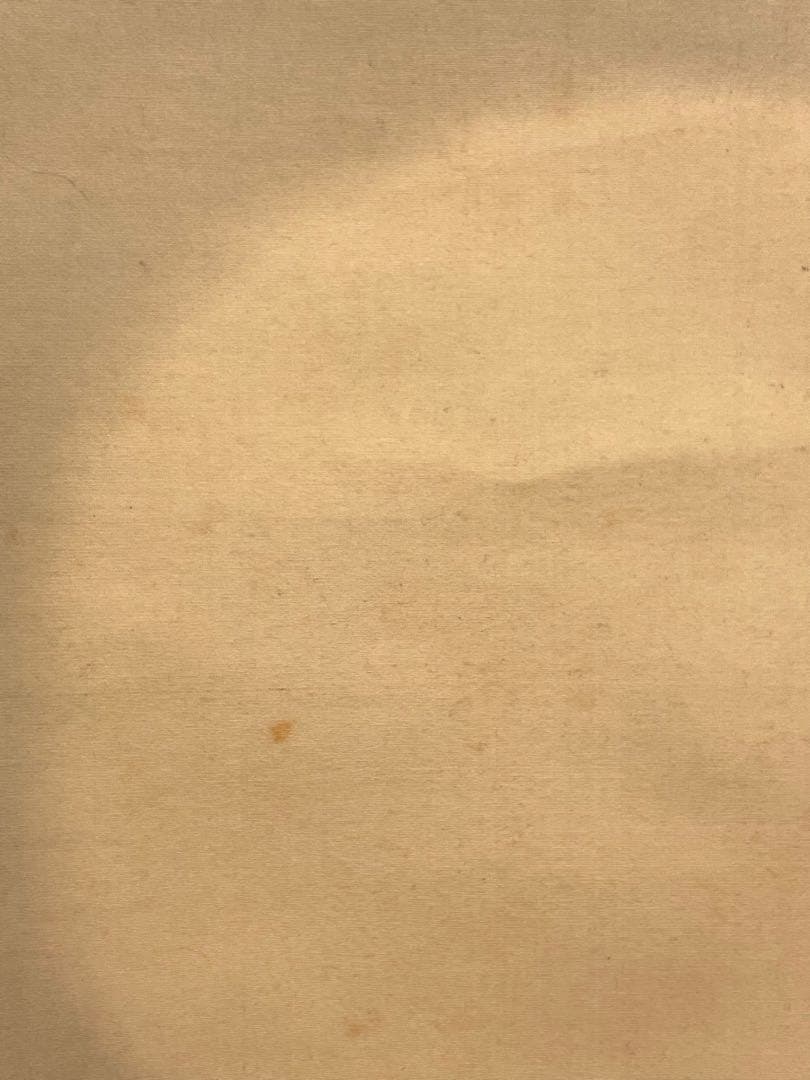 一斎 掛け軸 掛軸 直筆 夜桜 満月 朧月 日本画 絵画 春 桜 茶掛 肉筆