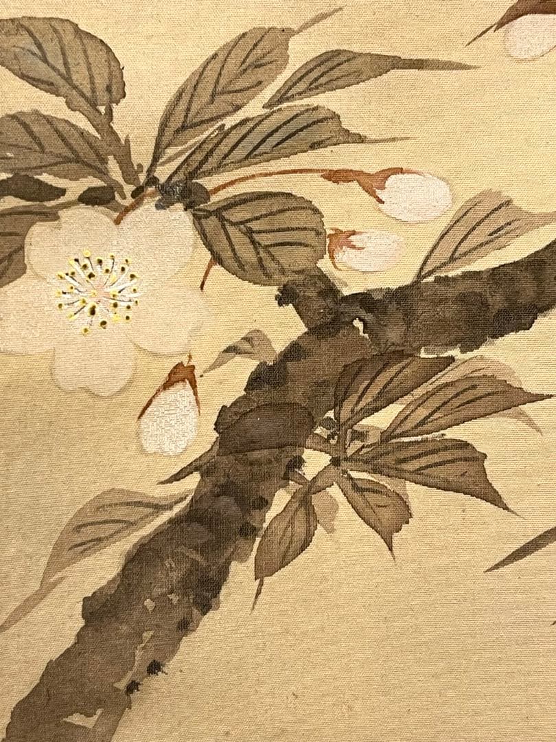 一斎 掛け軸 掛軸 直筆 夜桜 満月 朧月 日本画 絵画 春 桜 茶掛 肉筆