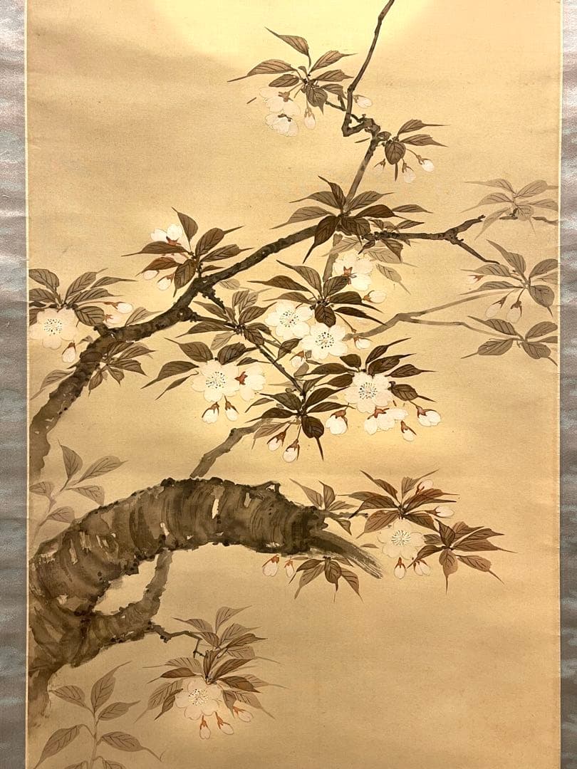 一斎 掛け軸 掛軸 直筆 夜桜 満月 朧月 日本画 絵画 春 桜 茶掛 肉筆
