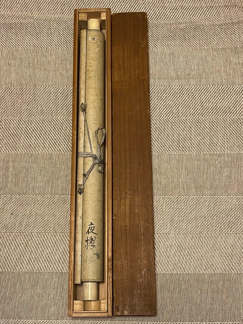 一斎 掛け軸 掛軸 直筆 夜桜 満月 朧月 日本画 絵画 春 桜 茶掛 肉筆