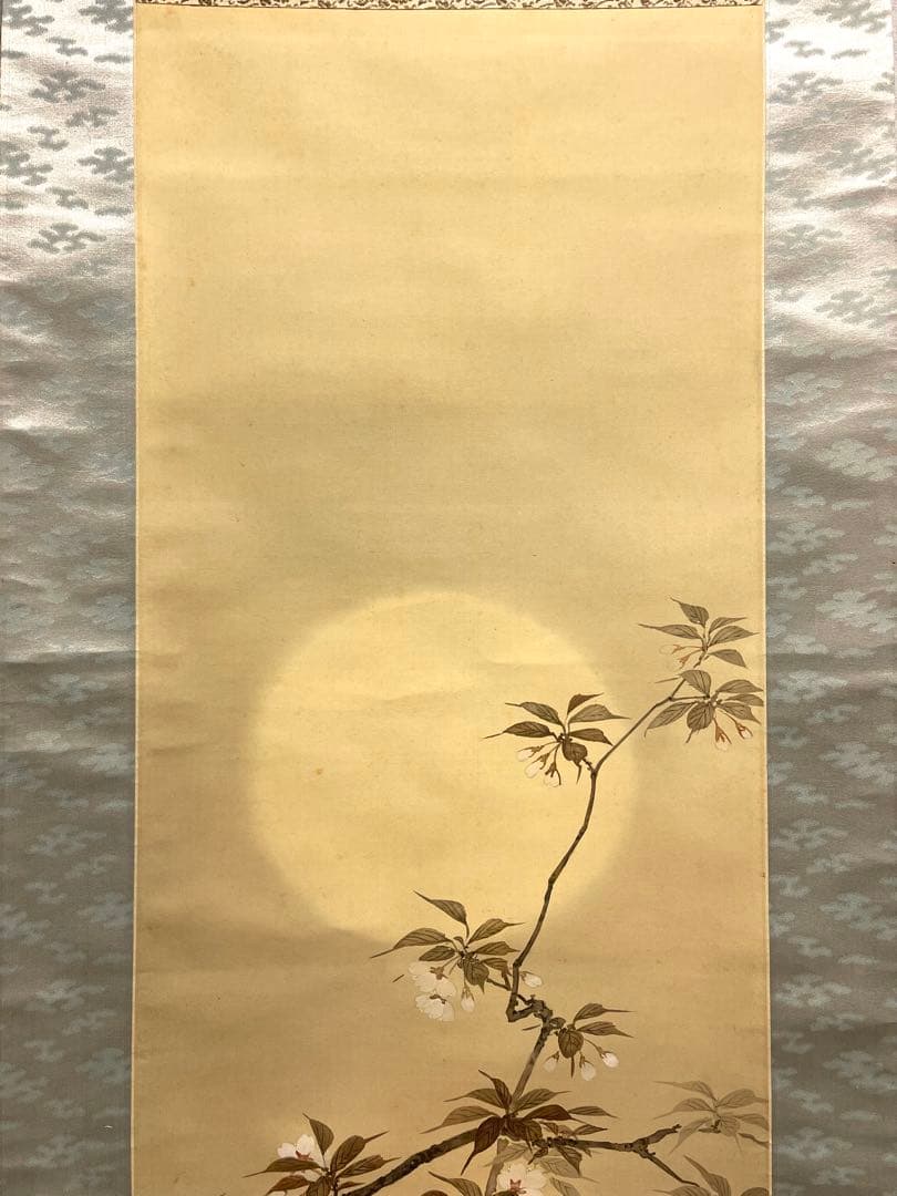 一斎 掛け軸 掛軸 直筆 夜桜 満月 朧月 日本画 絵画 春 桜 茶掛 肉筆