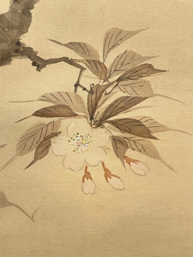 一斎 掛け軸 掛軸 直筆 夜桜 満月 朧月 日本画 絵画 春 桜 茶掛 肉筆