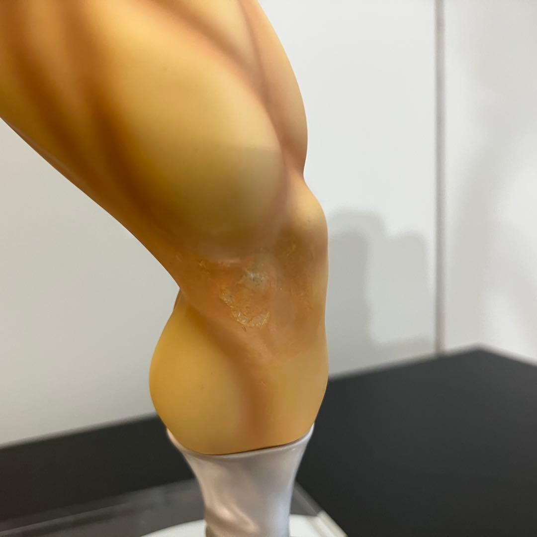 スパイスシード キン肉スグル ベルト付Ver. Spiceseed キン肉マン