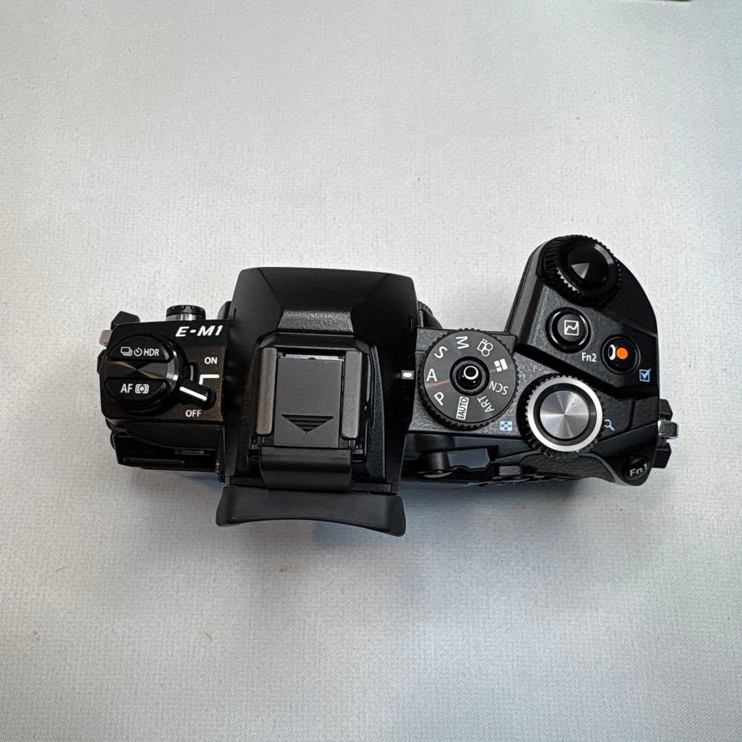 OLYMPUS OM-D E-M1 ボディ 元箱付 付属品多数