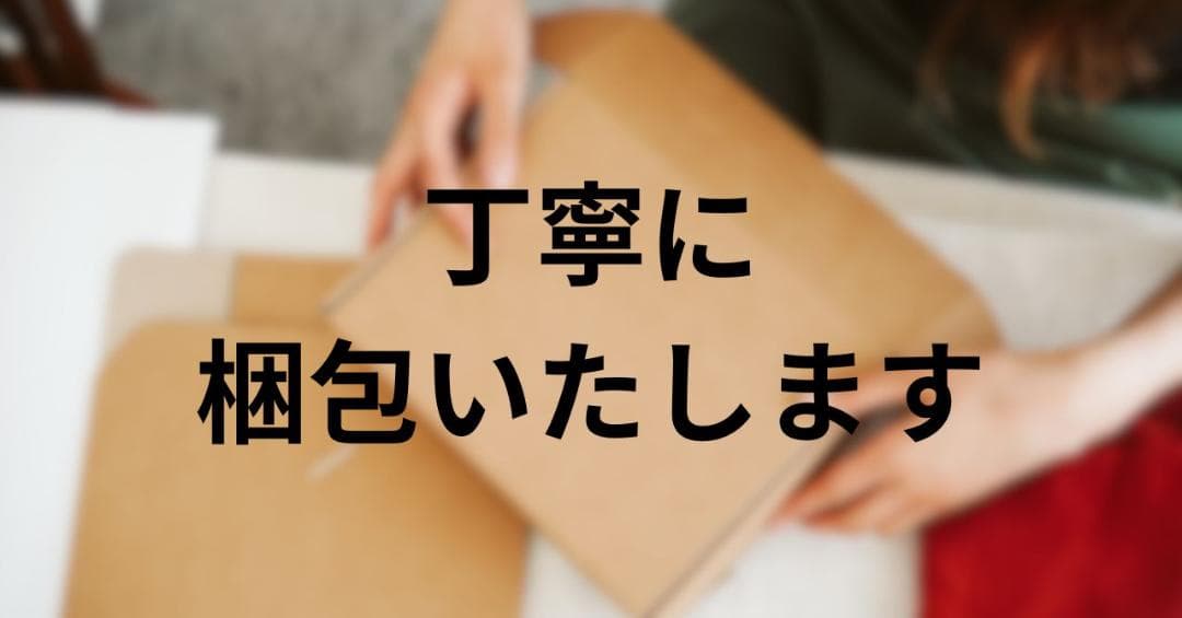 【折りたたみ式で業界最高8MPa・2025年新登場】 高圧洗浄機 コードレスrm