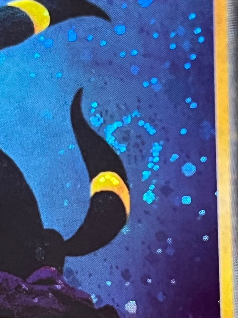 ブラッキー　旧裏　十字ホロ　うずまきホロ