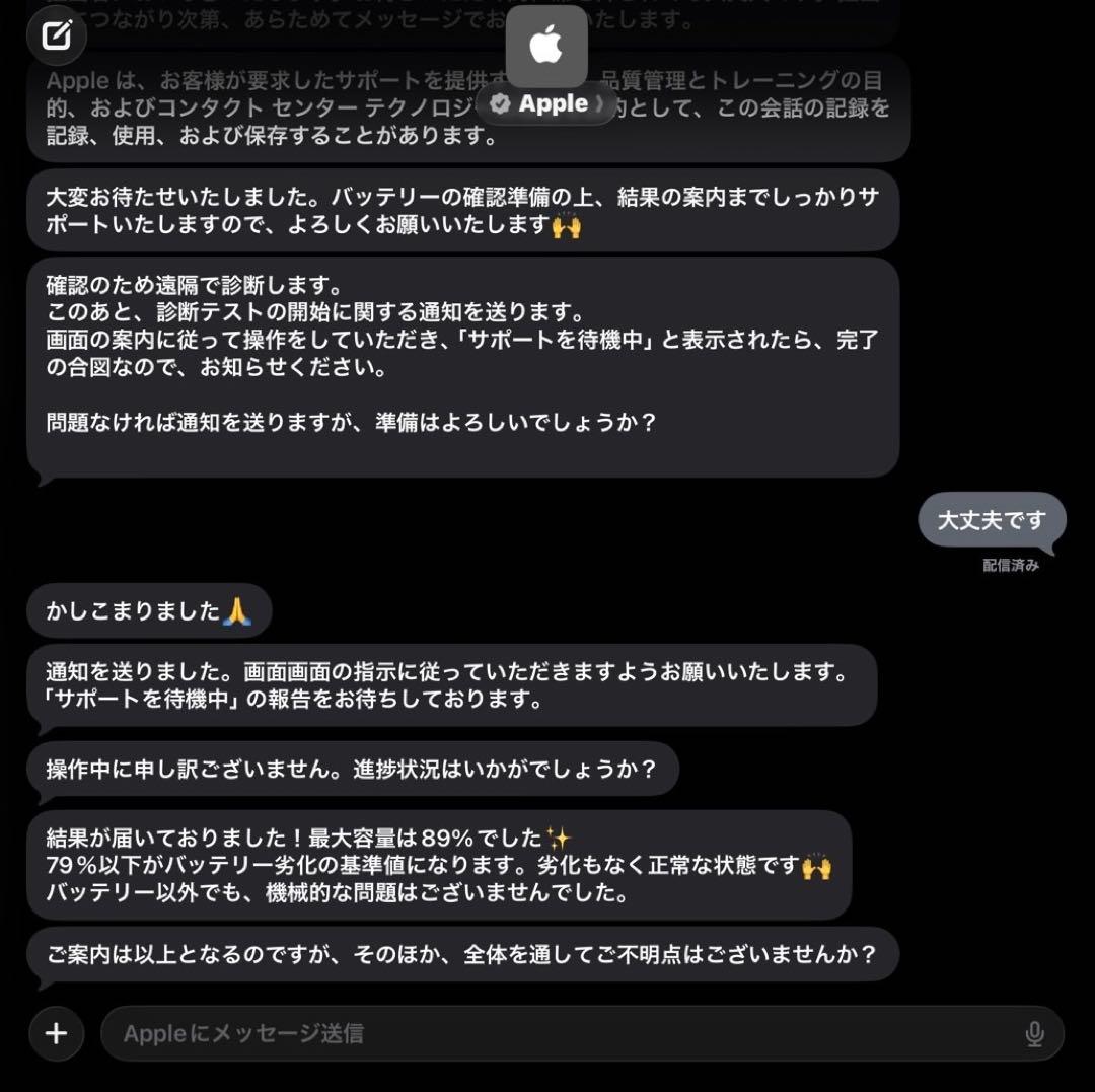 iPadAir 第5世代 256GB バッテリー最大容量89％ 本体のみ