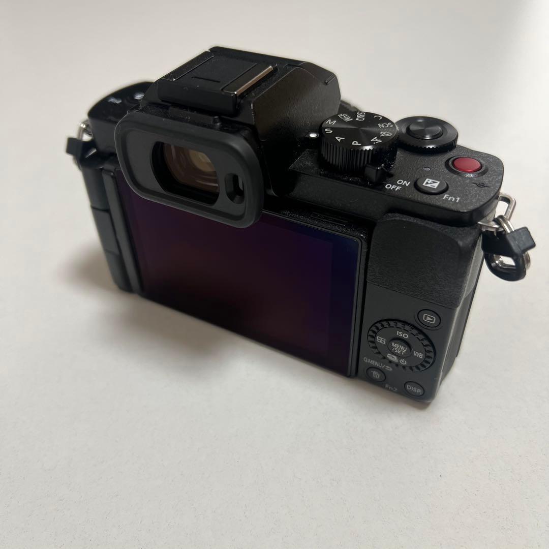 LUMIX G100DV 箱付属品とおまけ付き