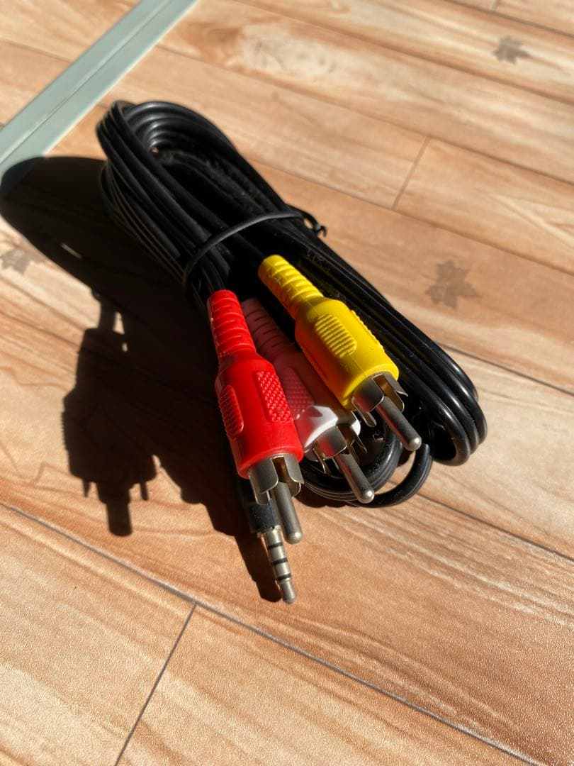 ディズニーワールドファミリー DVDプレーヤー マイク付き