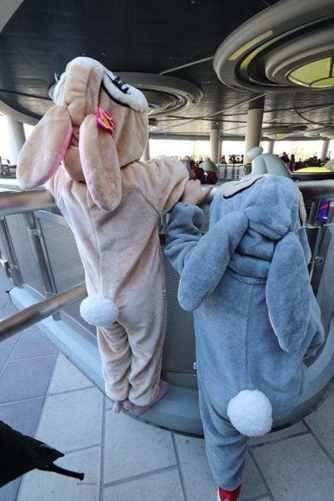 ディズニー　とんすけ　ミスバニー