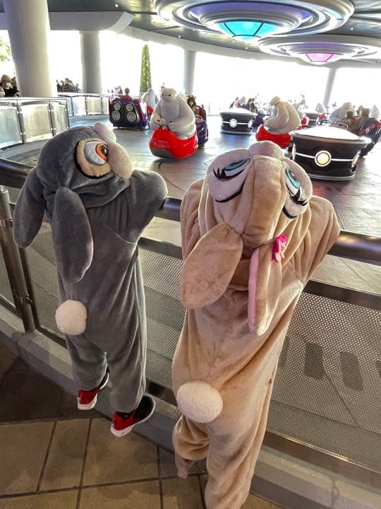 ディズニー　とんすけ　ミスバニー