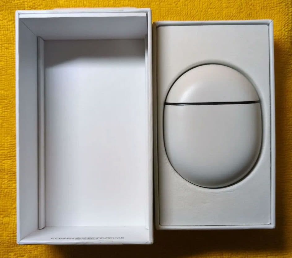 Google Pixel Buds Pro ブラックです。