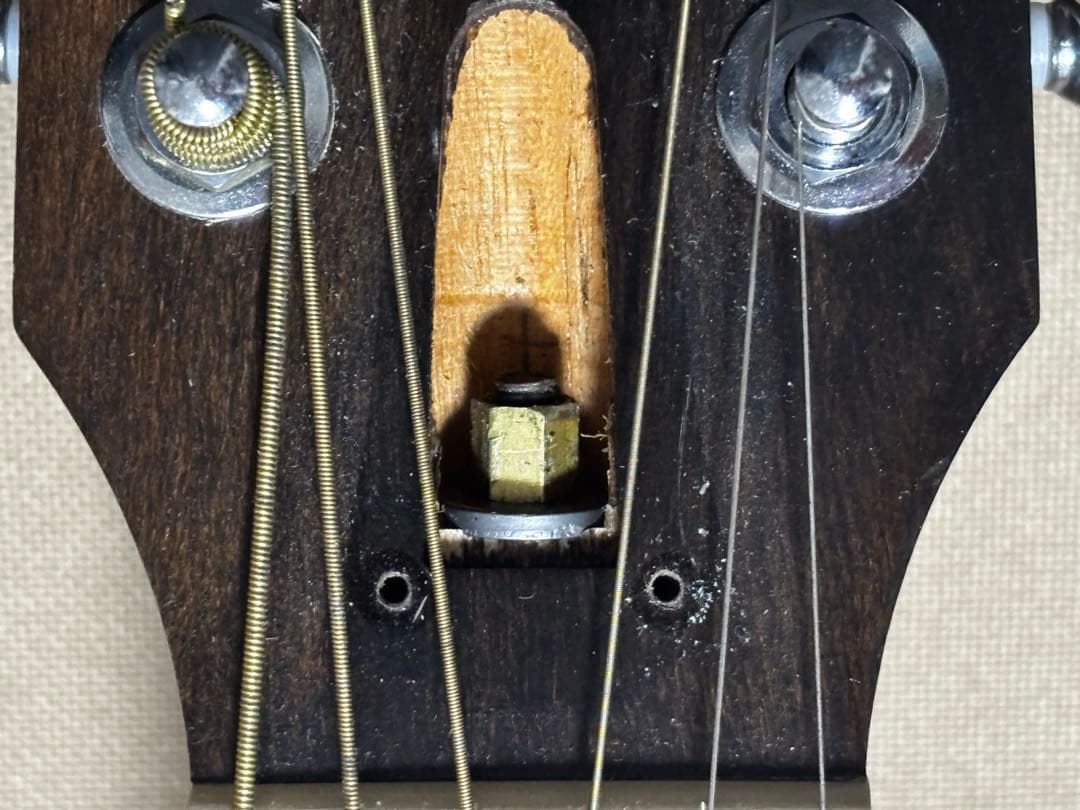 【状態良好】Taylor テイラー 214ce (2018年製)