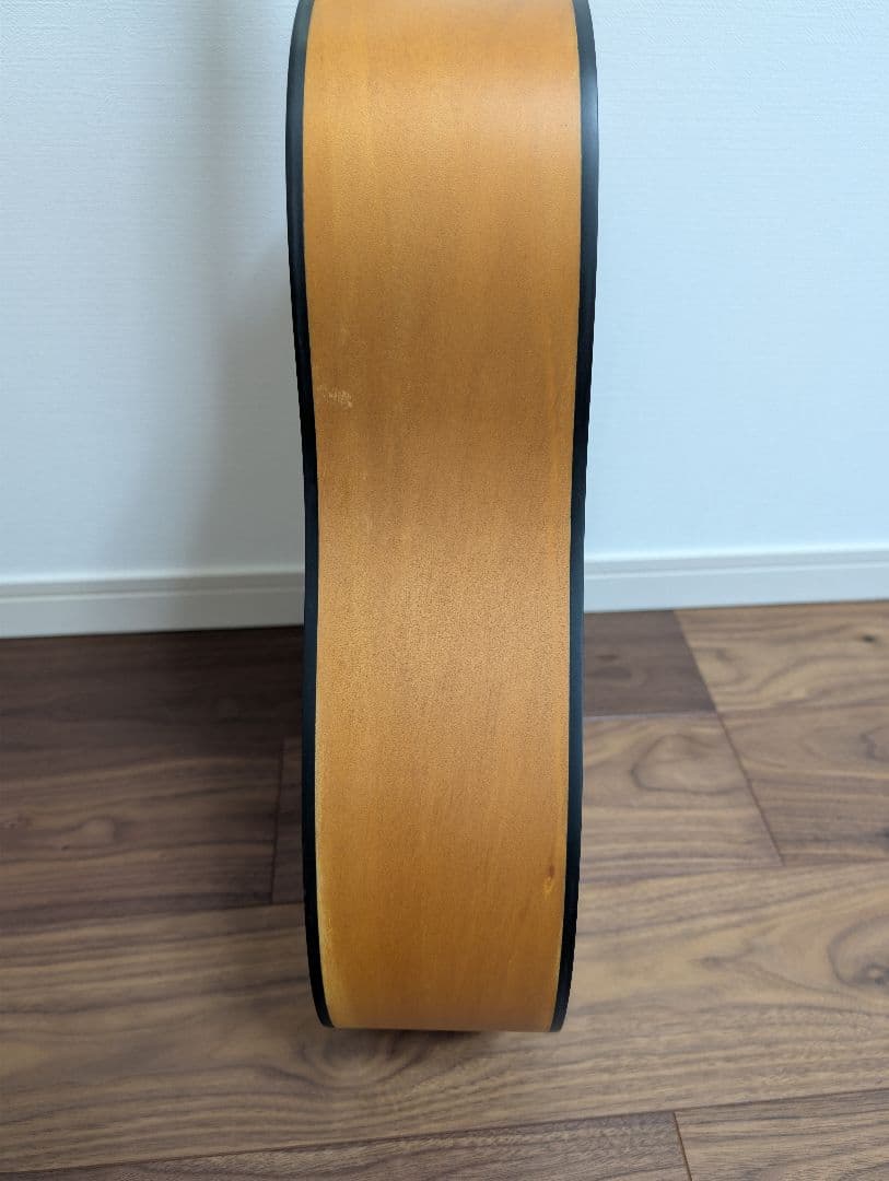 Ashton D20 アコースティックギター