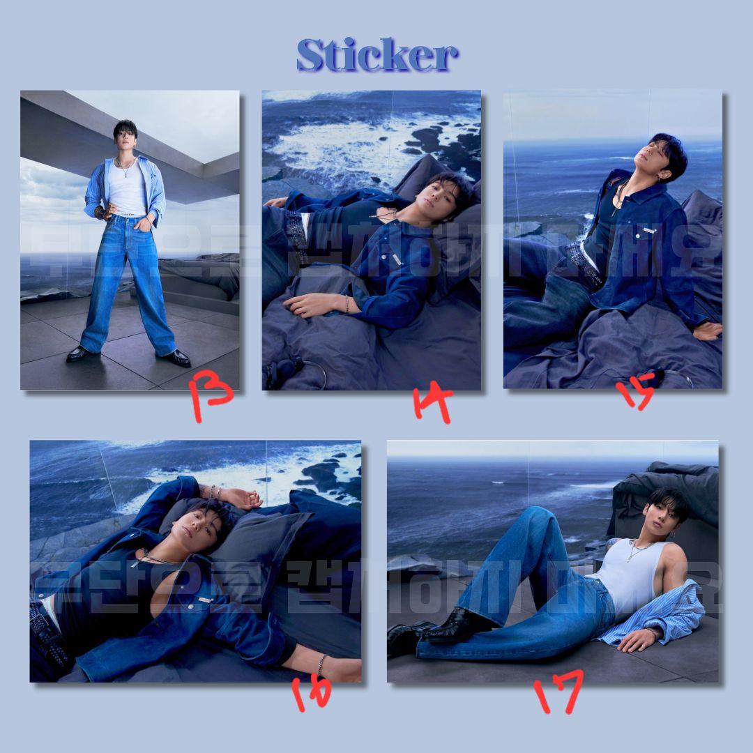 調査 ステッカー チッケム