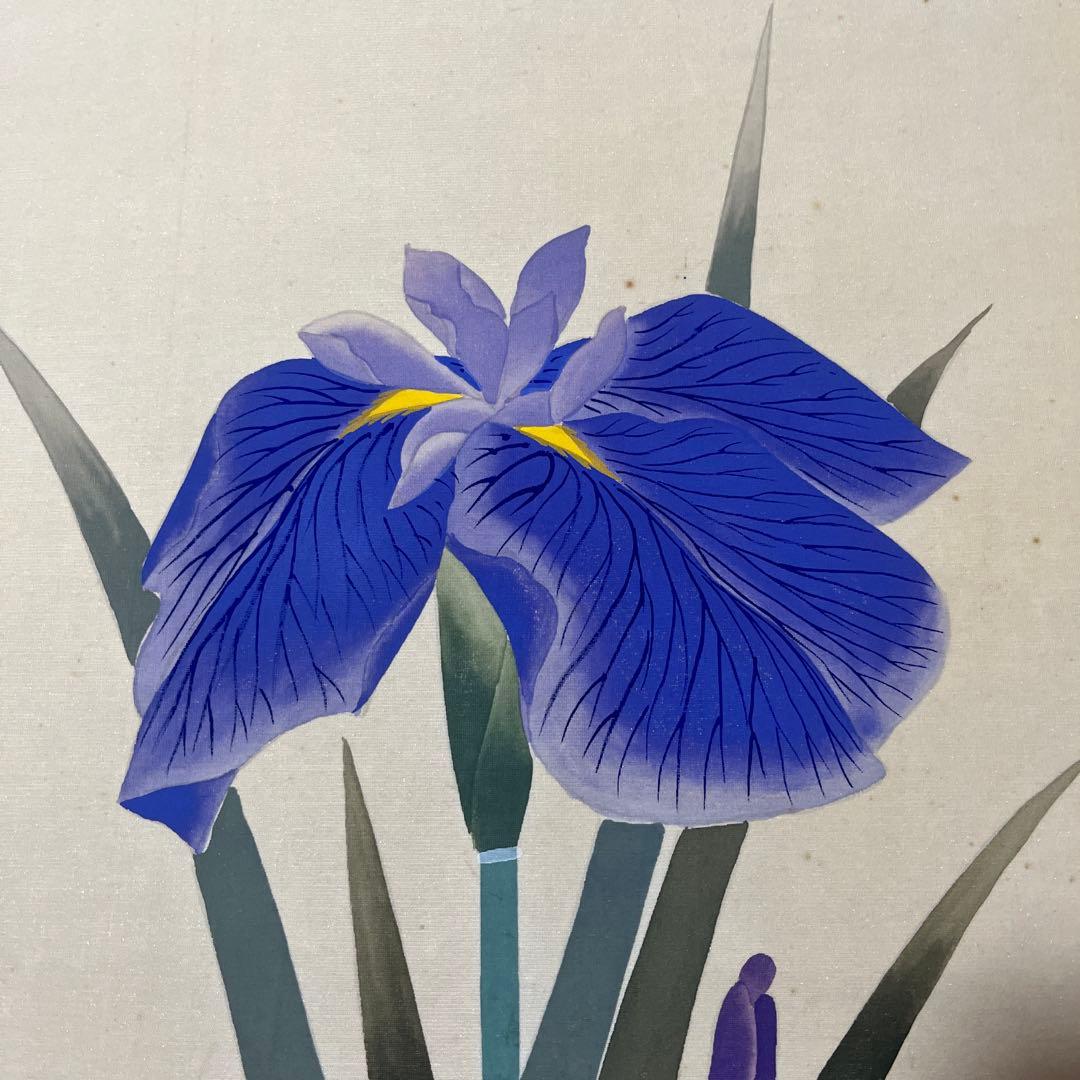 小川朝陽筆 菖蒲図 掛け軸　絹肉筆